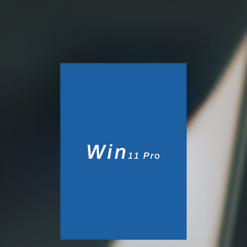 MS WIN 11 PRO OEM GLOBAL KEY