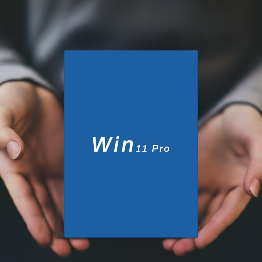 MS WIN 11 PRO OEM GLOBAL KEY